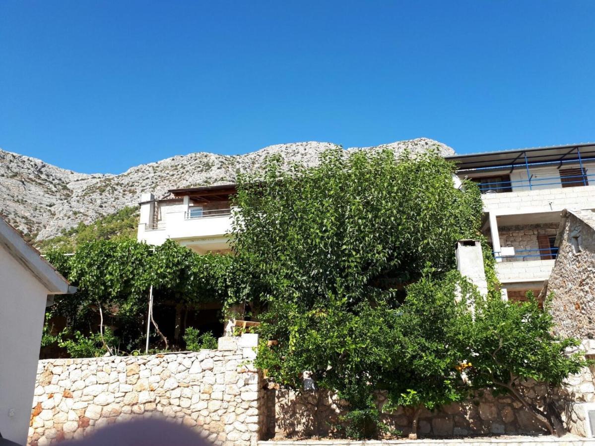 Apartments With A Parking Space Ivan Dolac, Hvar - 8753 Екстериор снимка